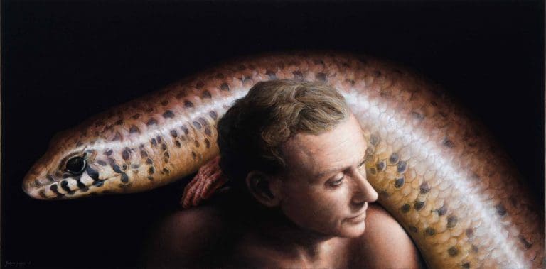 The Skink