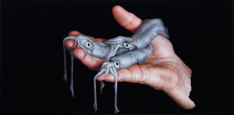 Three Squid