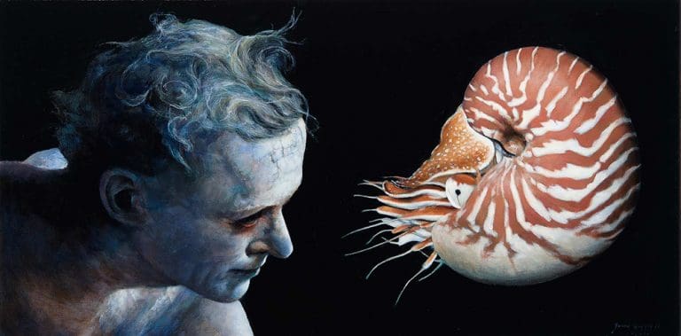 The Nautilus