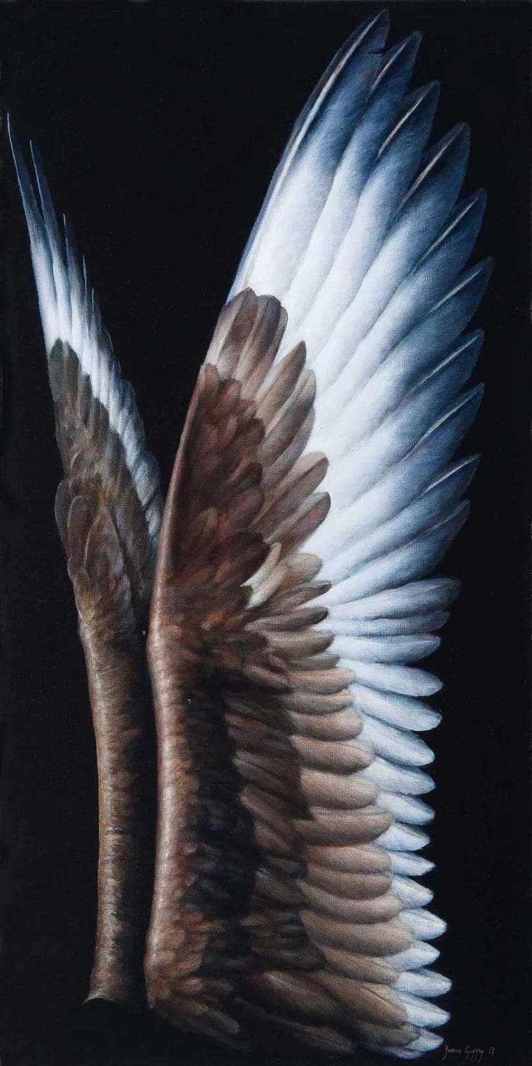 Skua Wings
