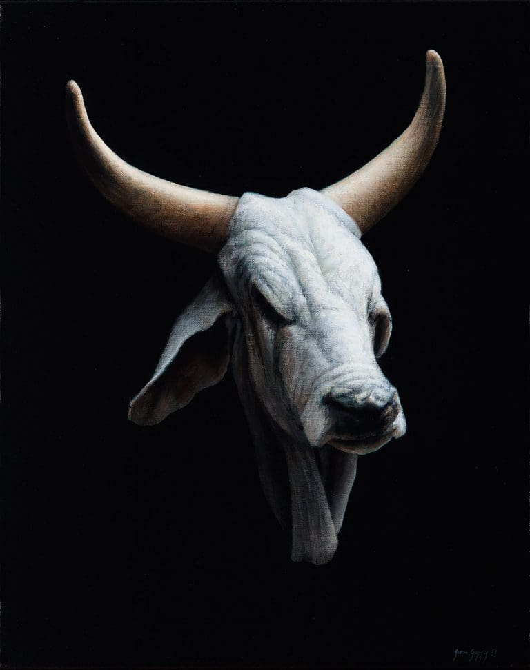 The Zebu