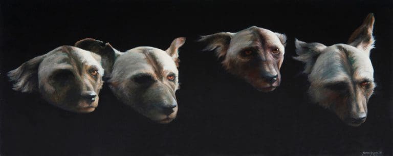 African Wild Dogs
