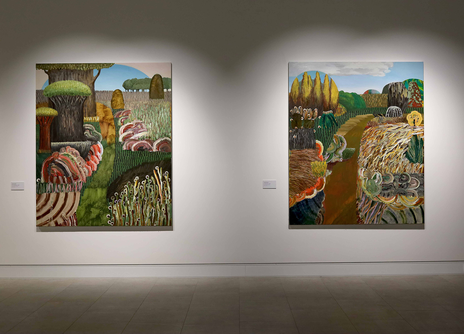 Install view of 'Stories from Homedale'. Image courtesy of Mudgee Arts Precinct.