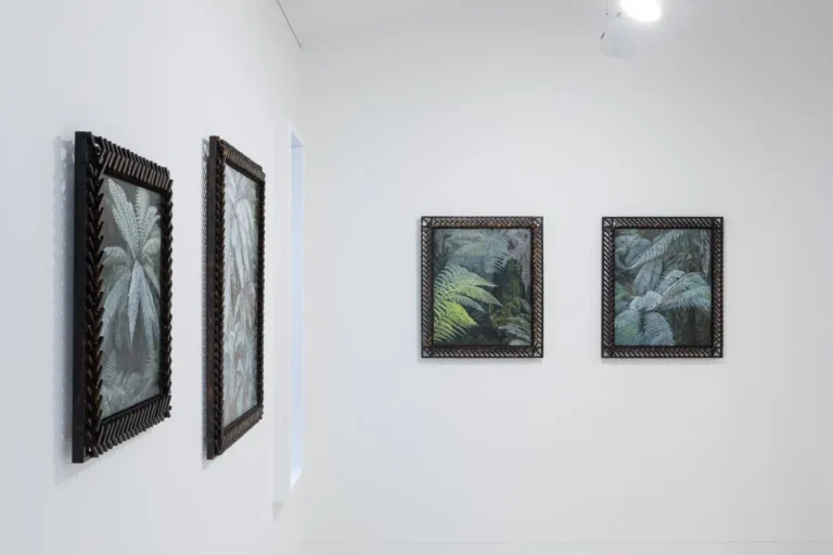 Installation view ‘Soft skeletons’