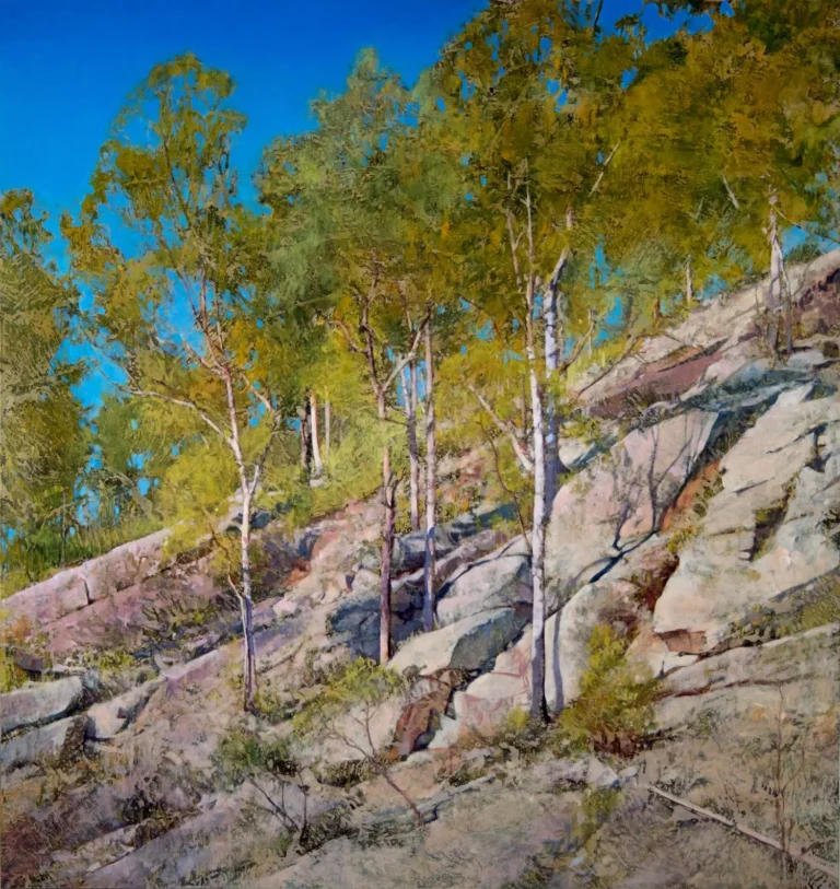 Hillside, Carnarvon Gorge