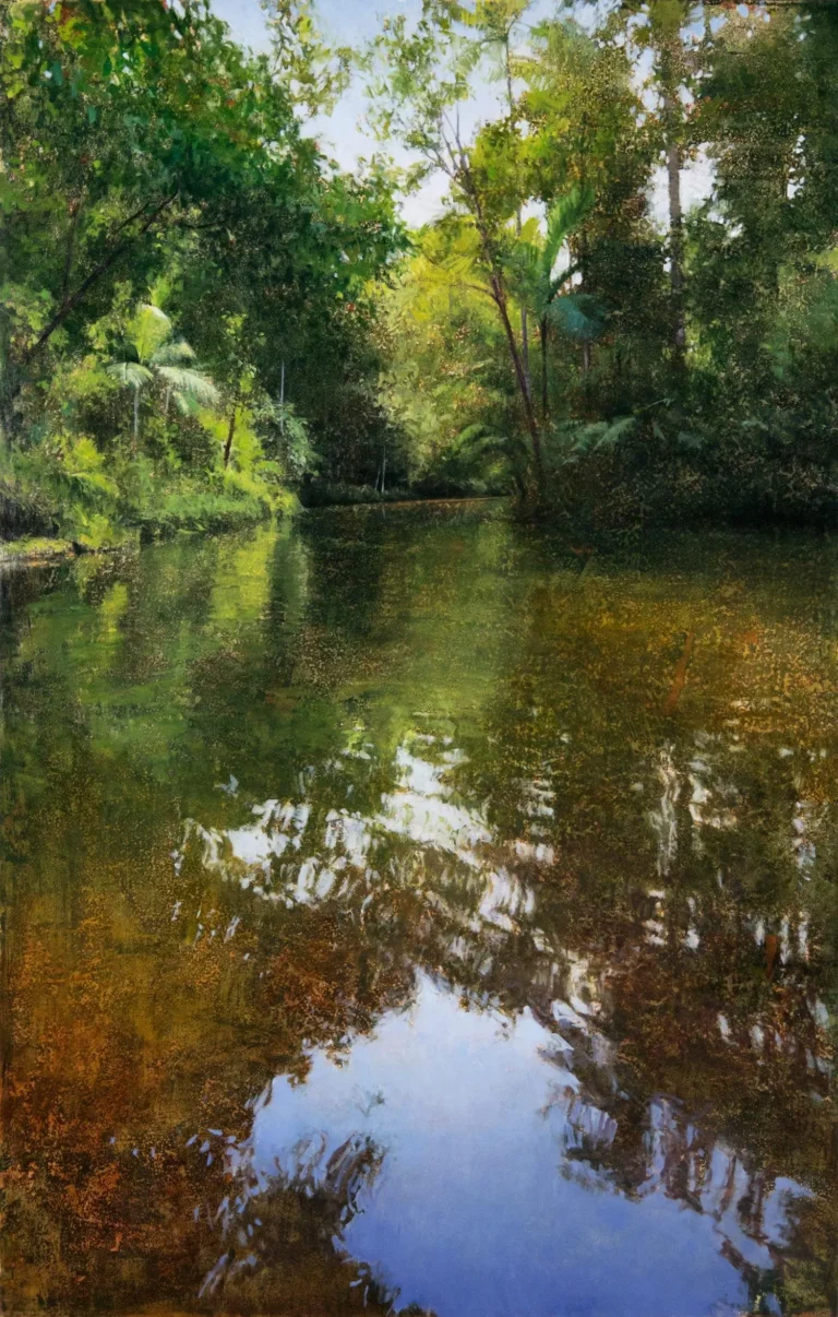 Hutchinson Creek, Daintree