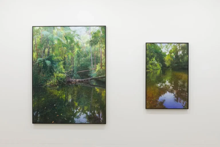 Installation view ‘The argument of the eye’