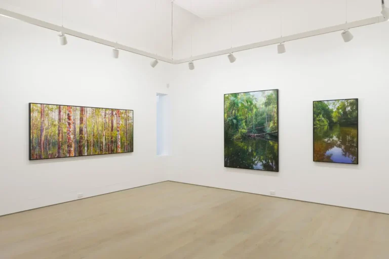 Installation view ‘The argument of the eye’