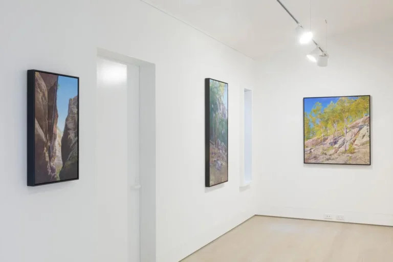 Installation view ‘The argument of the eye’