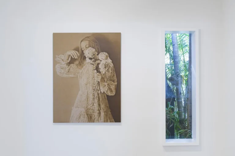 Installation view of ‘This night, this garden of light’