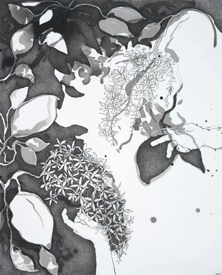 Multi-Love (Sandpaper vine)