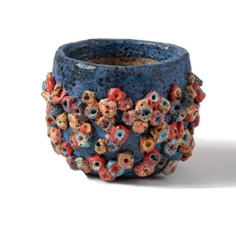 Rainbow barnacles (blue study)