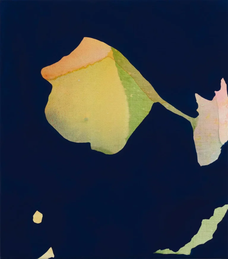 Field study 8