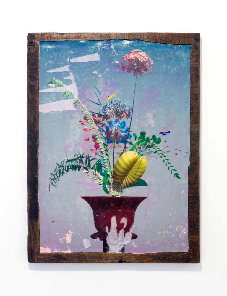 flower studies vi