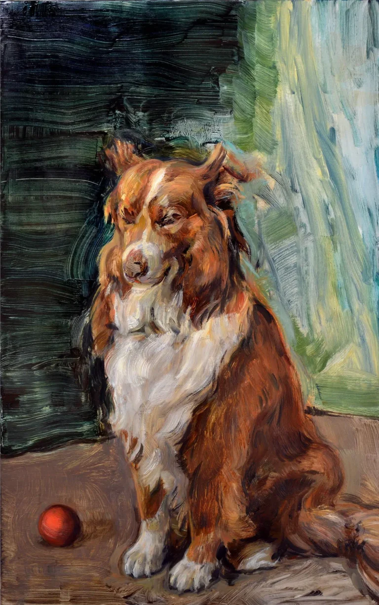 Portrait of a border collie