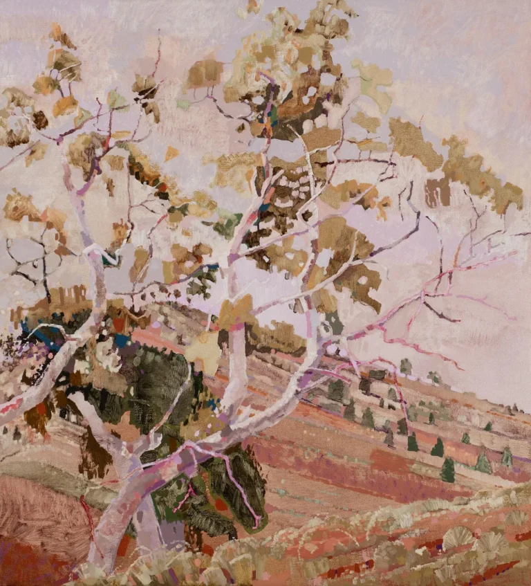 Bunyeroo Gorge