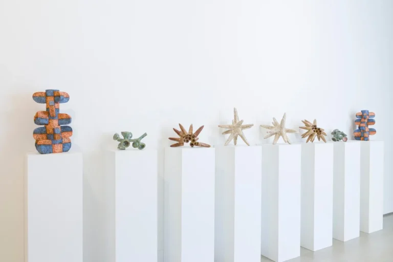 Installation view ‘Alchemy of form’