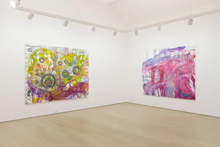 Installation view ‘Paralpi’