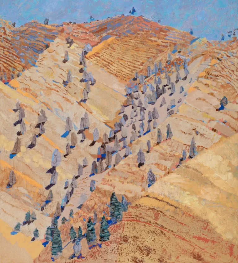 Brachina Gorge