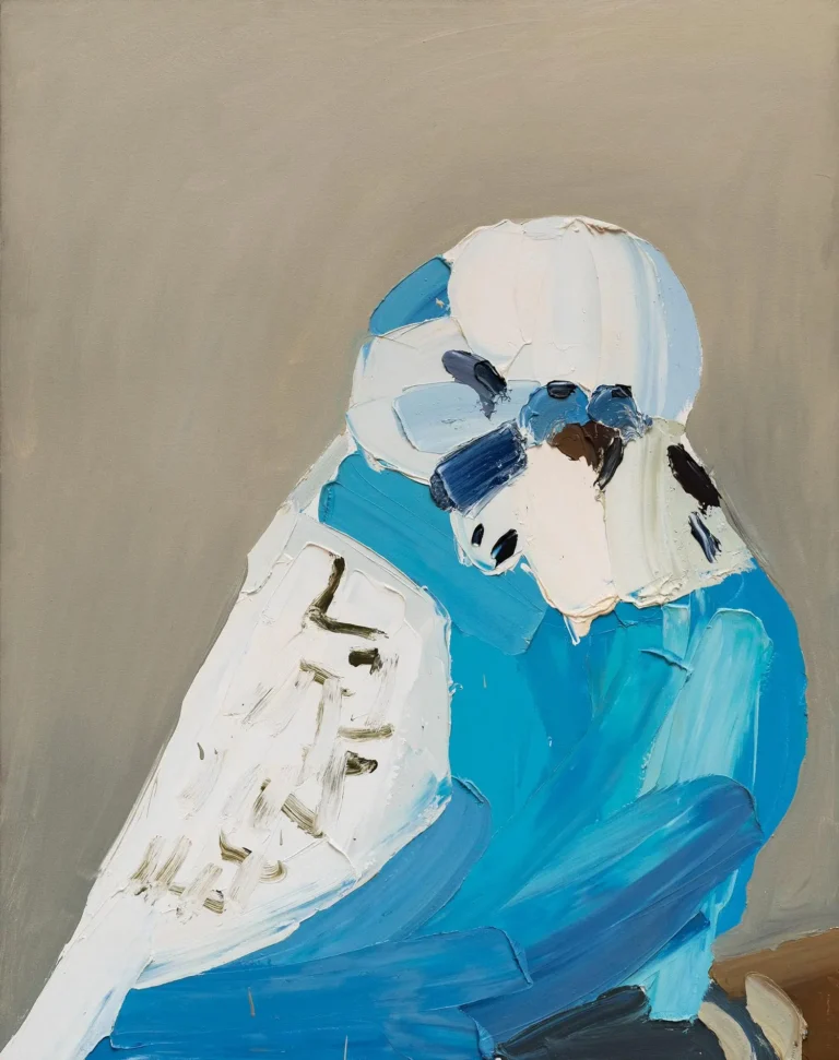 Blue spangled cock