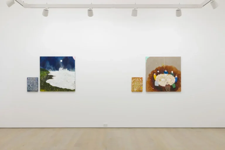 Installation view ‘Richard’s Disasters: a true story volume 2’