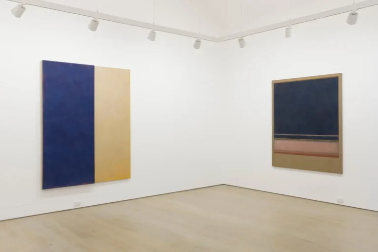 Installation view ‘Shaping Colour’