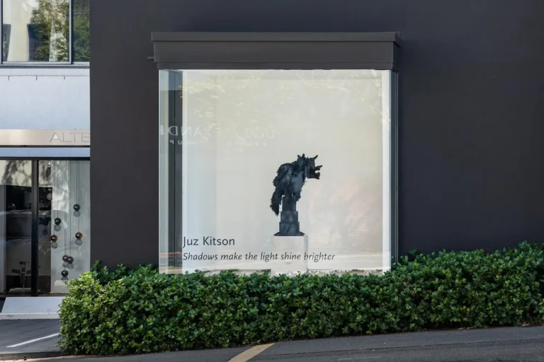 Installation view ‘Shadows make the light shine brighter’