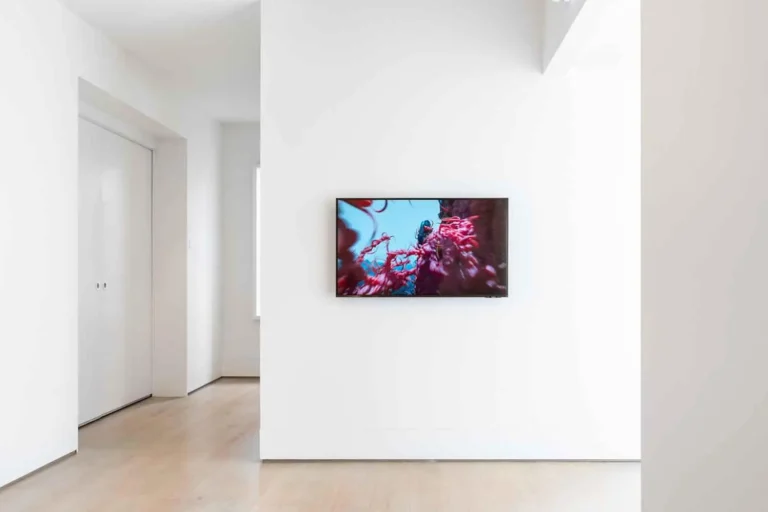 Installation view ‘Shadows make the light shine brighter’