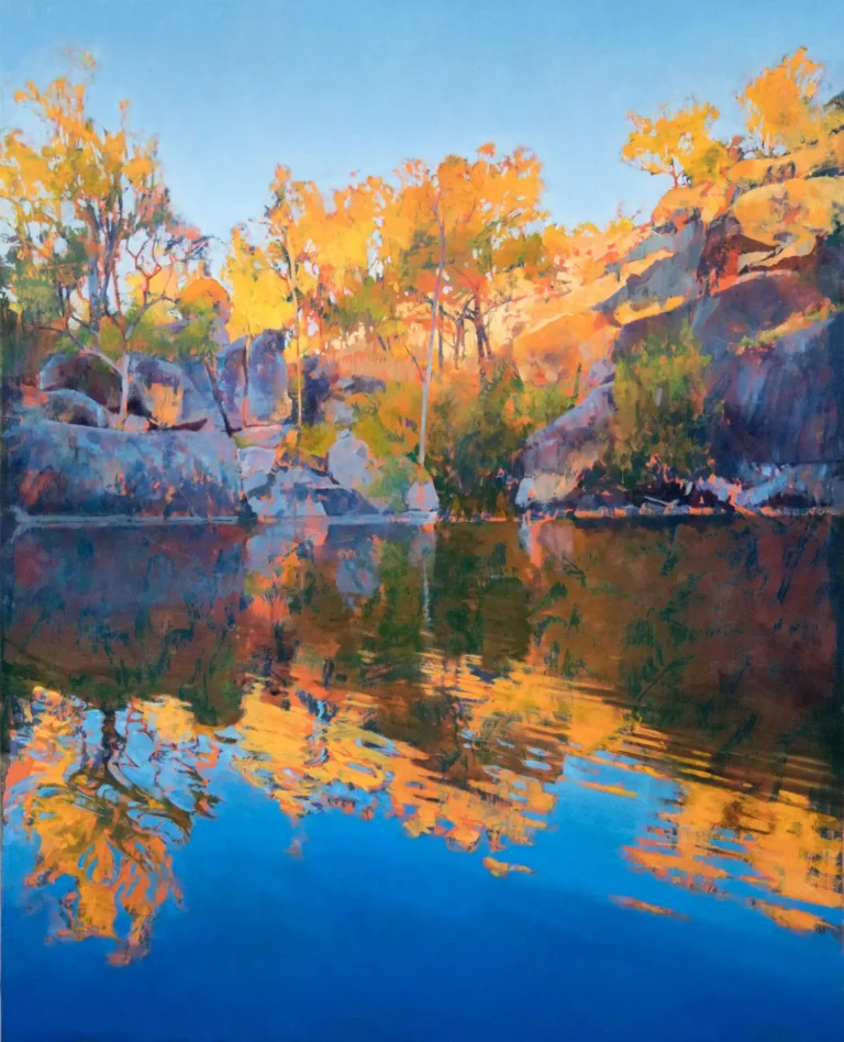 Afternoon reflection, Coomba Waterhole