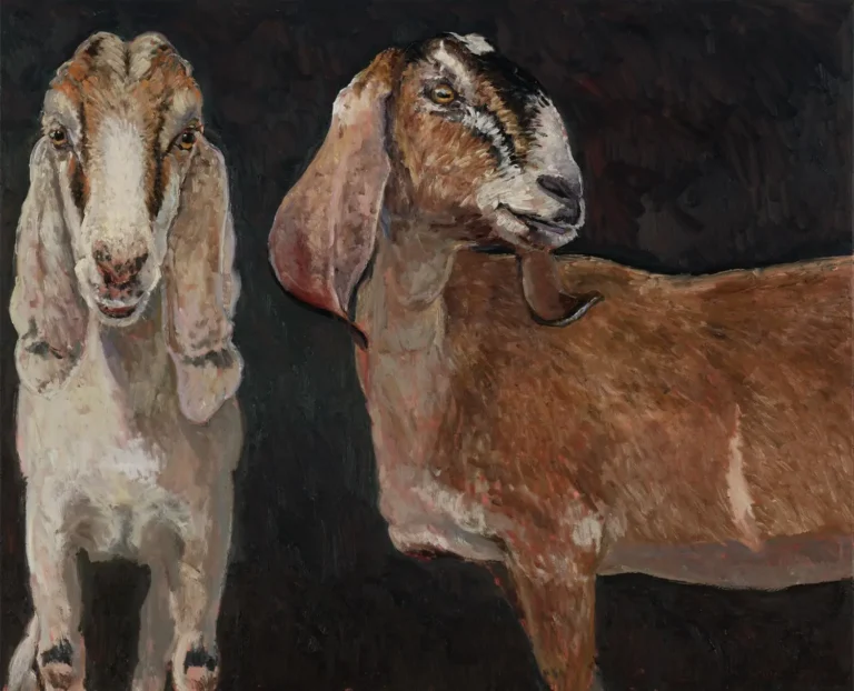 Two goats