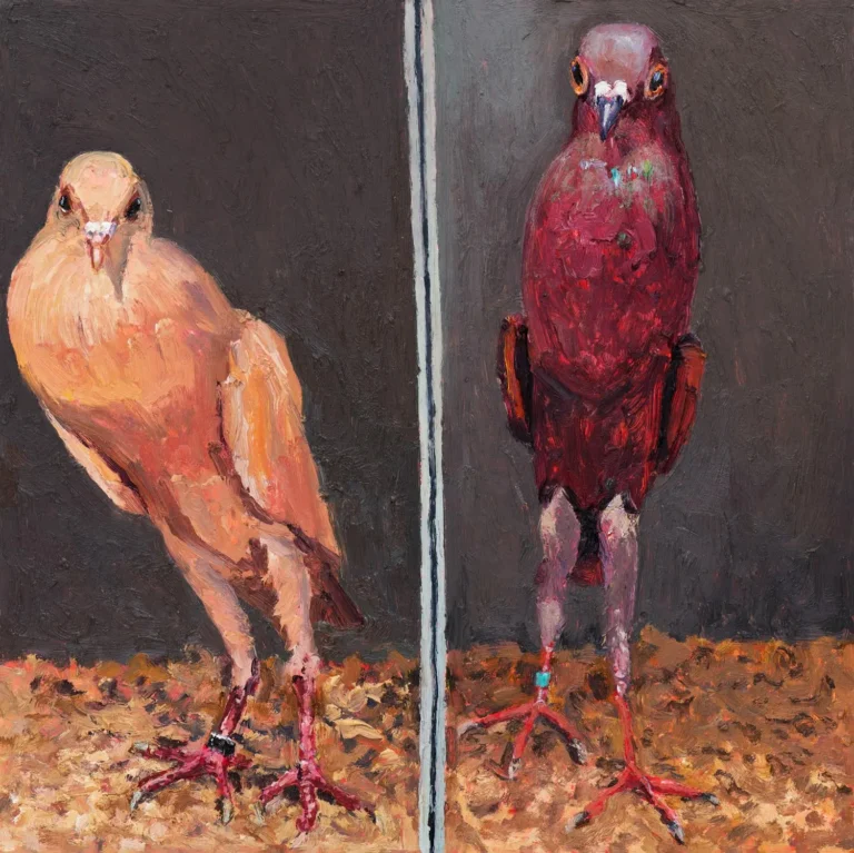 Two pigeons