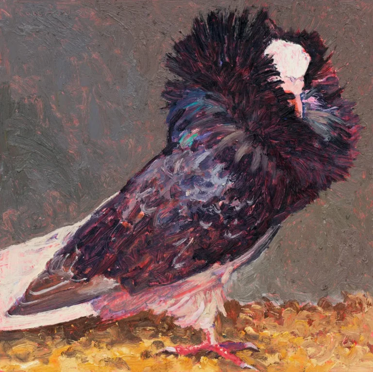 Pigeon I