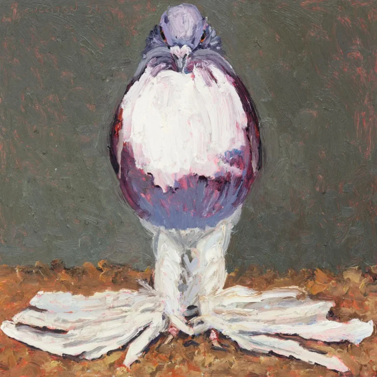 Pigeon II
