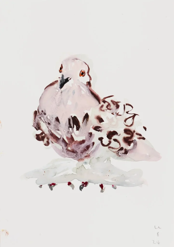 Pigeon III