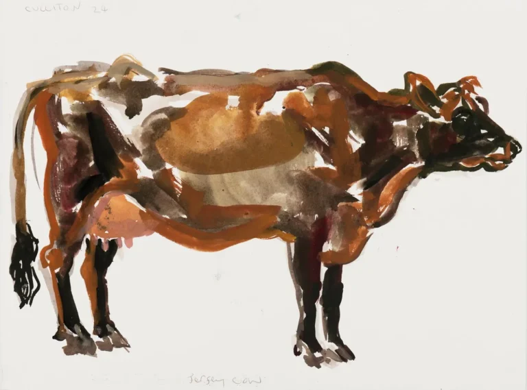 Jersey cow