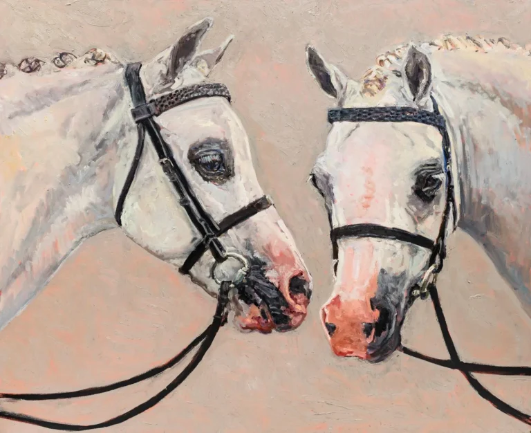 Two white ponies