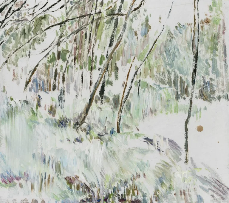Limbs 1