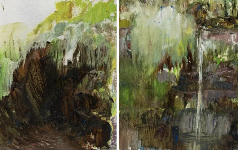 Field notes, Russell Falls
