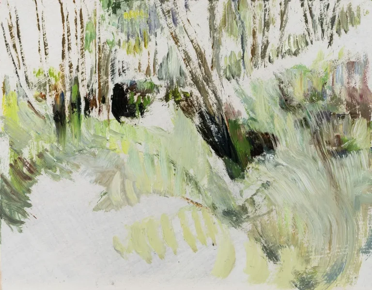 Field notes, Ghost ravine 1