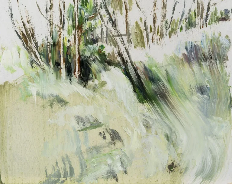Field notes, Ghost ravine 2