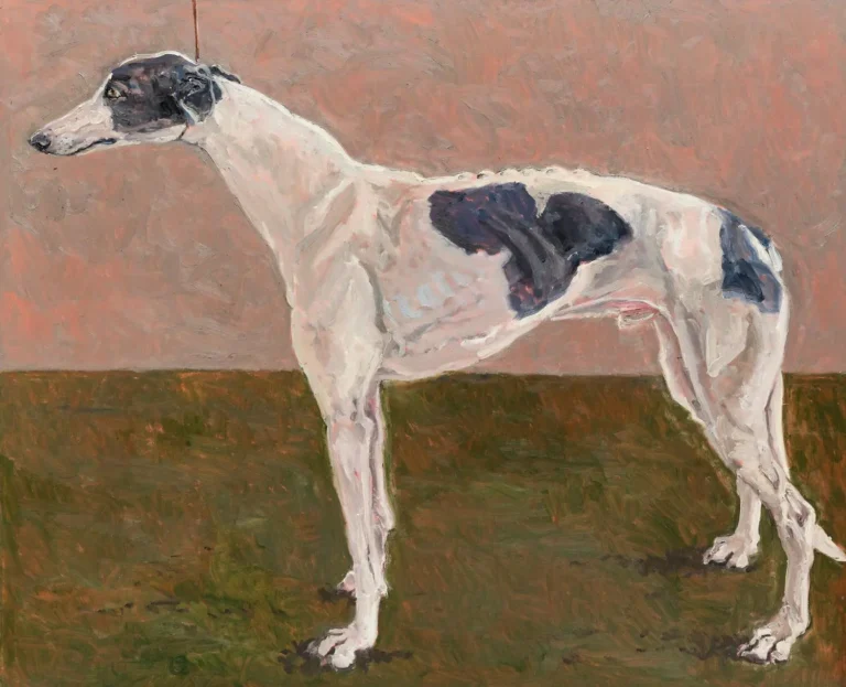 Greyhound
