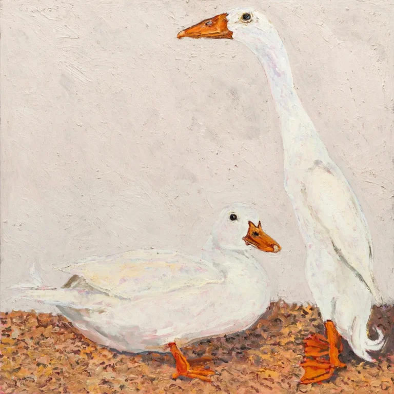Two white ducks