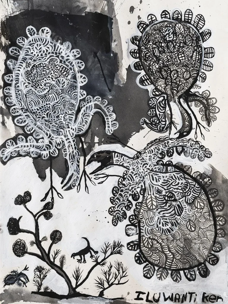 Walawuru Tjukurpa (248-25)