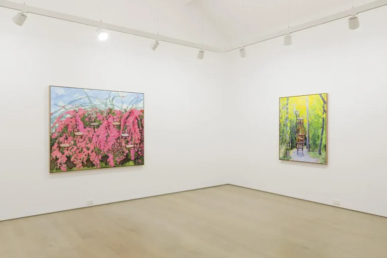 Installation view of ‘Visitors’ by Monica Rohan