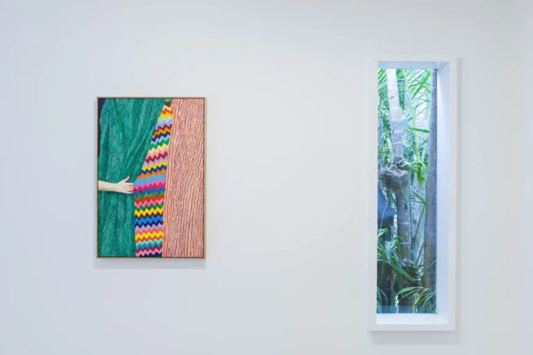 Installation view ‘Disappearing Act’
