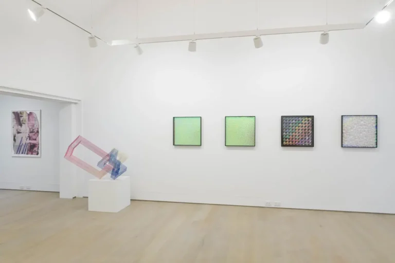 Installation view ‘Unbecoming’
