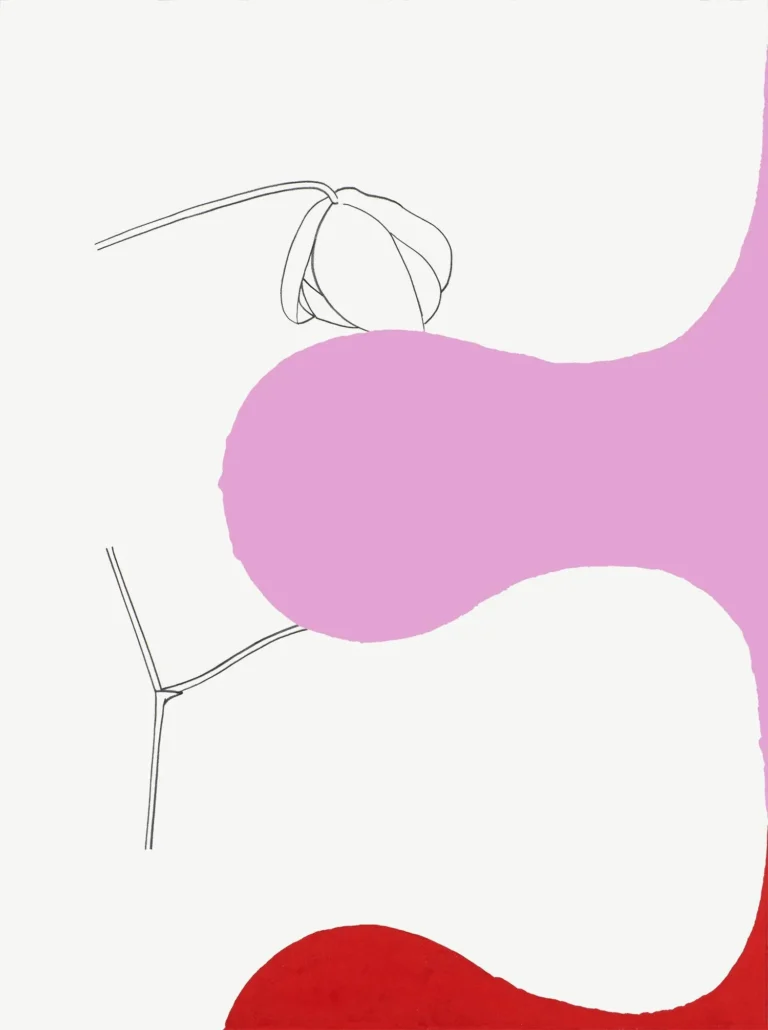 Orchid study 1