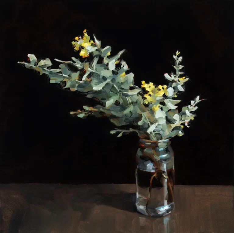 Silver wattle