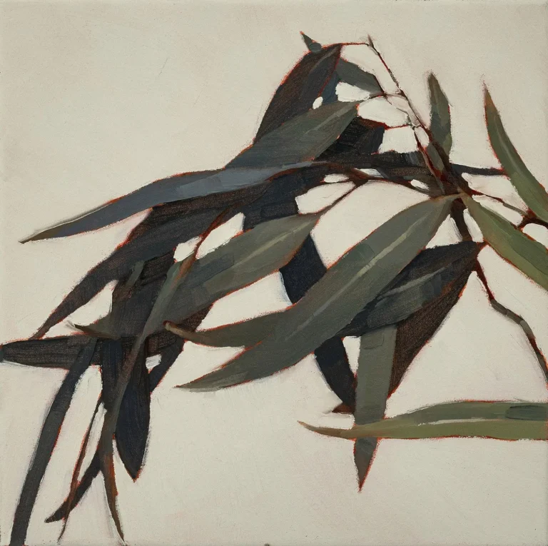 Gum leaves