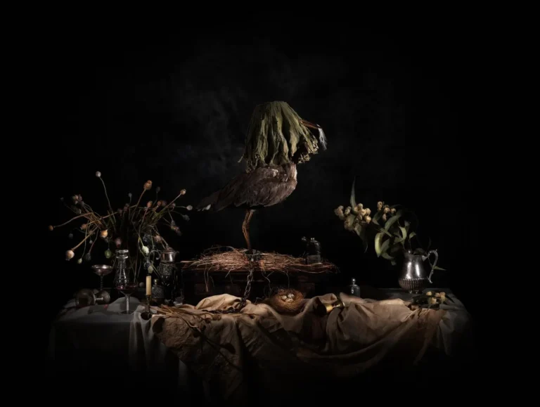 Nature Morte (Veiled Bird)